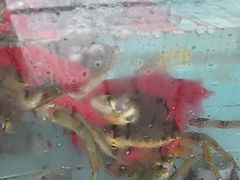 -原龙海鲜大排档(美食地标店)