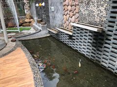 -南宁市青秀区银蕾幼儿园