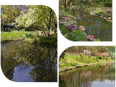 -上海共青森林公园