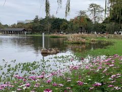 -映月湖公园