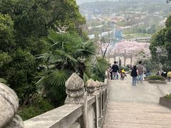 -苏州上方山国家森林公园