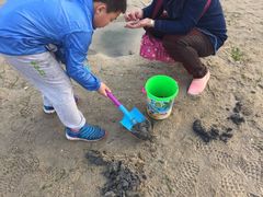 -北海金海湾红树林生态旅游区