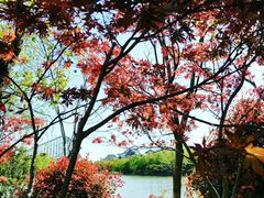 -芜湖方特东方神画