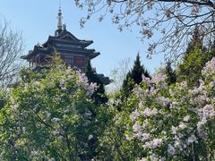 -咸阳湖景区