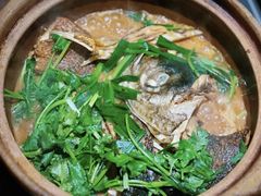 -九道菜有鸡鱼头(石鼓路店)