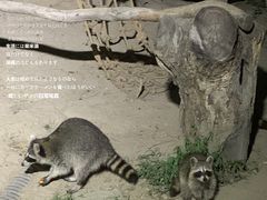 -宁波野生动物园