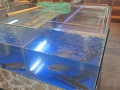 -后院烤吧·木炭烧烤·烤鱼·云贵川火锅(忻州古城店)