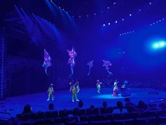 -珠海横琴长隆《卡卡虎奇遇记》