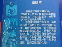-海合安天津极地海洋公园