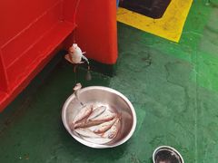 -亚马逊海鲜自助(梅溪湖步步高店)