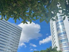 -重庆西南医院(西南院区)