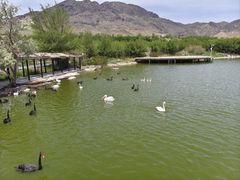 -新疆天山野生动物园