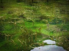 -沕沕水生态风景区