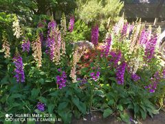 -中国公安部总部大楼