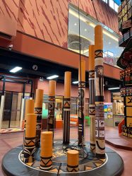 -卡通尼·Safari非洲探索乐园·生日会(金桥国际商业广场店)