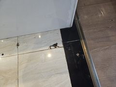 -橙曼酒店(双子塔环球中心店)