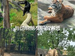 -南昌动物园
