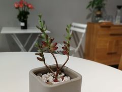 -吉森Bakery(教育路店)
