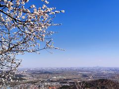 -香山公园