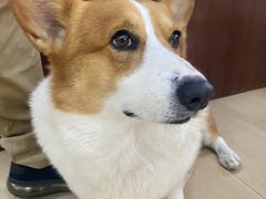 -鹿福农庄(南沙天后宫店)