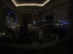 -新加坡文华东方酒店