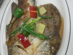 -粤顺食鸽专门店