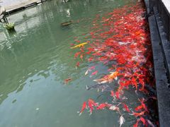 -滴水洞景区
