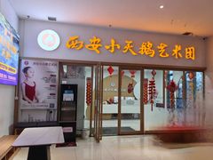 -西安小天鹅艺术团(金花路校区)