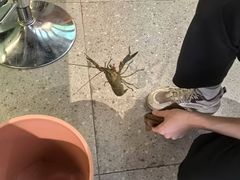 -虾胡闹龙虾馆(湄南河店)