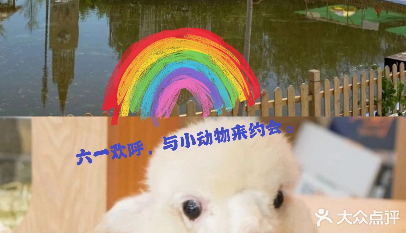 六一遛娃首选，9号萌宠亲子农场，六一优惠大促