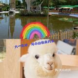 六一遛娃首选，9号萌宠亲子农场，六一优惠大促