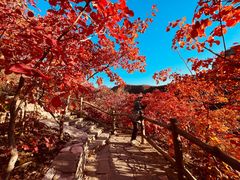 -周口店坡峰岭风景区