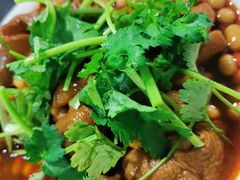 红烧肥肠-梯坎豆花
