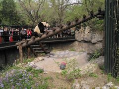 景点-北京动物园