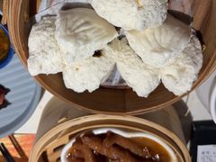 -点都德·毕德寮
