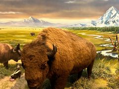 -陕西自然博物馆