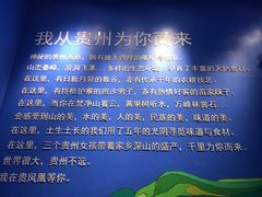 -贵凤凰贵州米粉(望京店)