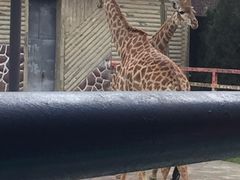-贵州森林野生动物园