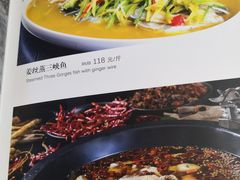 -雲蜀龙阁·金牌水煮鱼(方庄店)