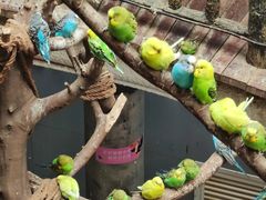 -正佳雨林生态植物园
