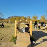 圣诞遛娃攻略～各种各种的户外游乐