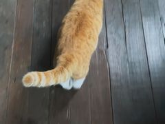 -CHURCH  BISTRO 教堂·餐吧