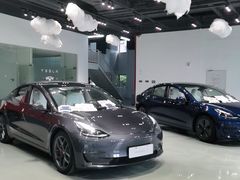 -TESLA 特斯拉(深圳观澜特斯拉直营钣喷中心)