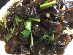 -津菜宋记老房子(平山道店)