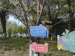 -高东镇樱花园