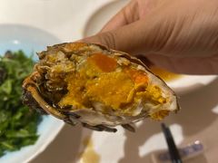 -老吉士酒家(天平路店)