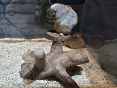-合肥海洋世界