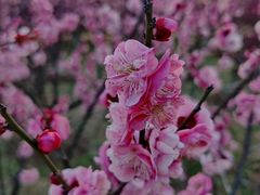 -滨湖塘西河公园