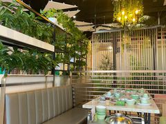 -四季合味椰子鸡(南山大冲店)