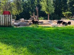 -北京野生动物园